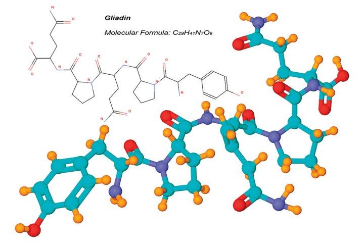 Gliadin Gluten