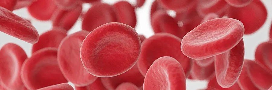 HbA1c Diyabet Hemoglobin A1c Testi HbA1c Diyabet Hemoglobin A1c Testi
