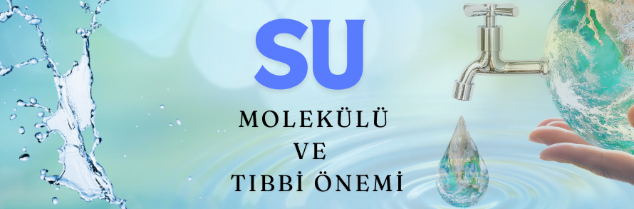 KIŞ AYLARI İÇİN (11)